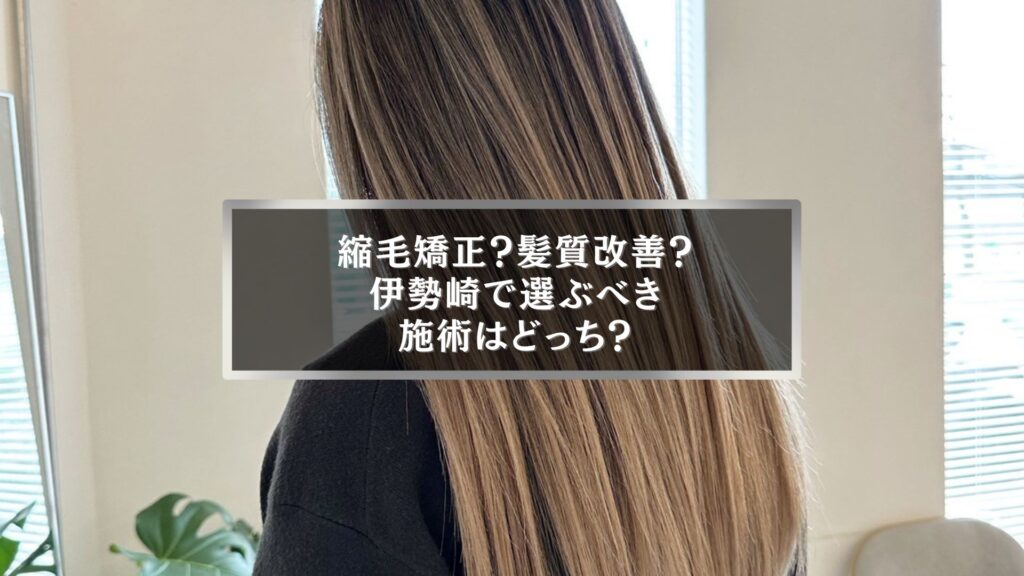伊勢崎で縮毛矯正と髪質改善どちらを選ぶべきか迷う女性の後ろ姿、ツヤのあるストレートヘア