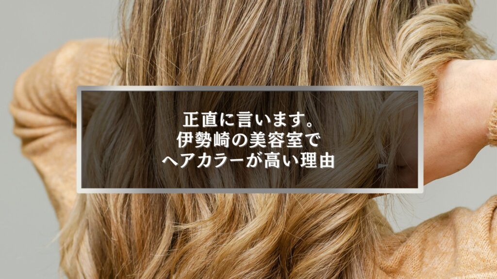 伊勢崎の美容室でヘアカラーが高い理由を解説する記事のアイキャッチ画像｜髪の質感とカラーの違いが分かる写真